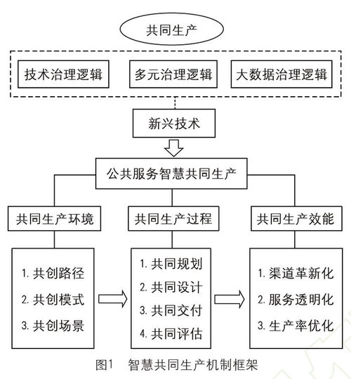 數字技術賦能鄉村公共服務機制創新——基于智慧共同生產模式的探索