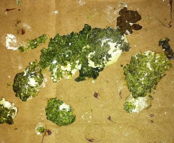 疑似生病時(shí)需要沙門氏菌藥膠囊或白芷膠囊嗎？先分清病因和對(duì)癥用藥